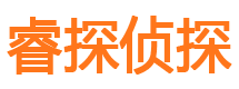 汝城外遇调查取证